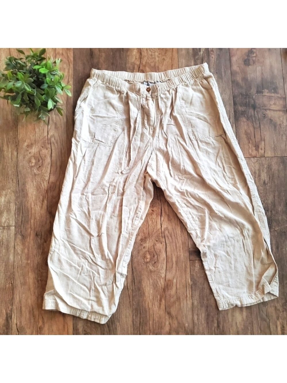Sag Harbor Cream Tapered Career Trousers Women Size 1X